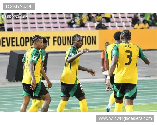 迪尼批评麦克拉伦辞职不真诚称此举将给牙买加队带来更多困扰与挑战