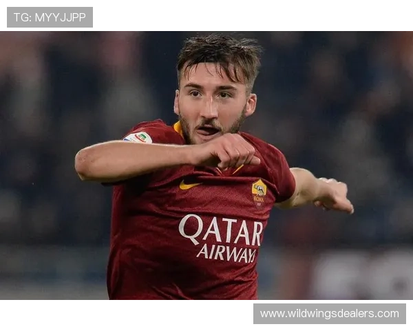 克里斯坦特谈加图索与球队斗志透露自己在多个位置上均能发挥出色